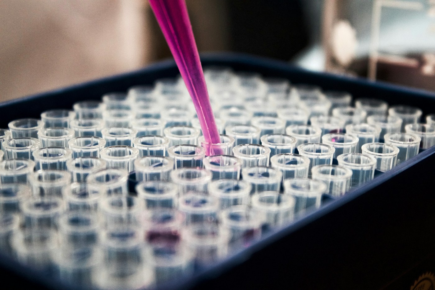 The Data Record Behind a Reproducible Experiment