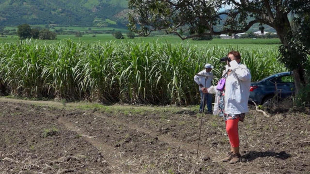 Smoking pit oven leads to discovery of "bones, skin and burnt human flesh," relatives of missing Mexicans say